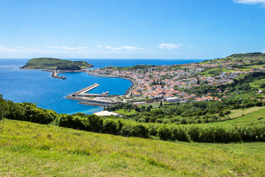 Coastal harbor town with blue sea, marina, green hills, and a grassy foreground under a sunny sky
