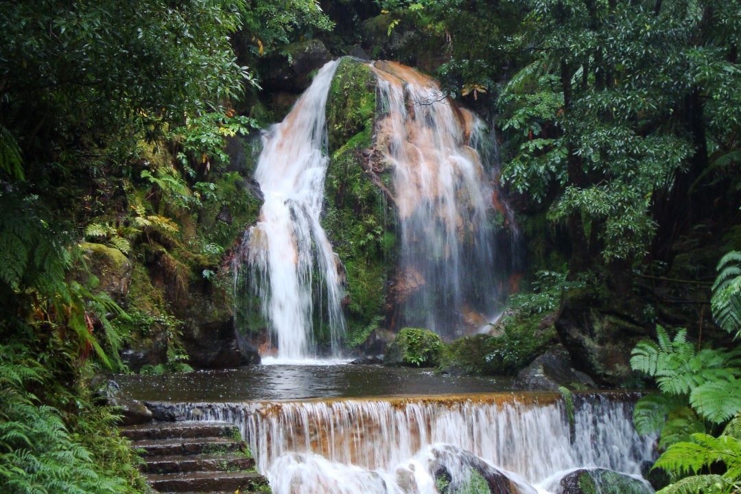 Lush green forest waterfall cascading over rocks into a small pool with steps in the foreground