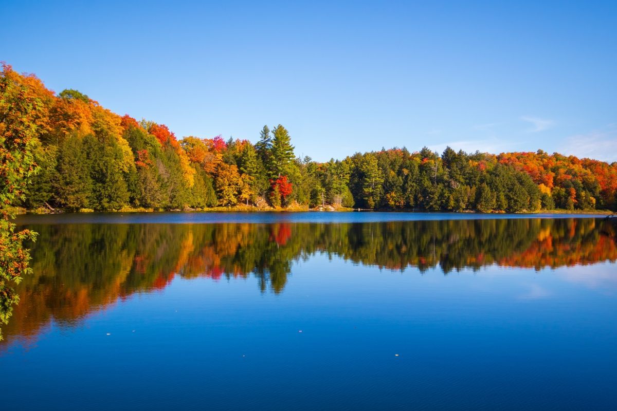 Gatineau Park