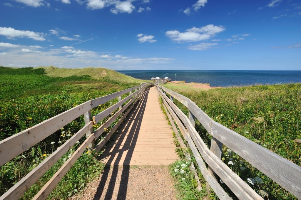Wooden walkway through grassy dunes leads to the ocean under a blue sky.