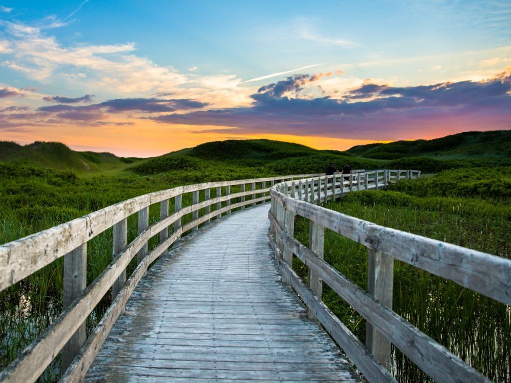 Wooden boardwalk through green dunes at sunset under a colorful sky