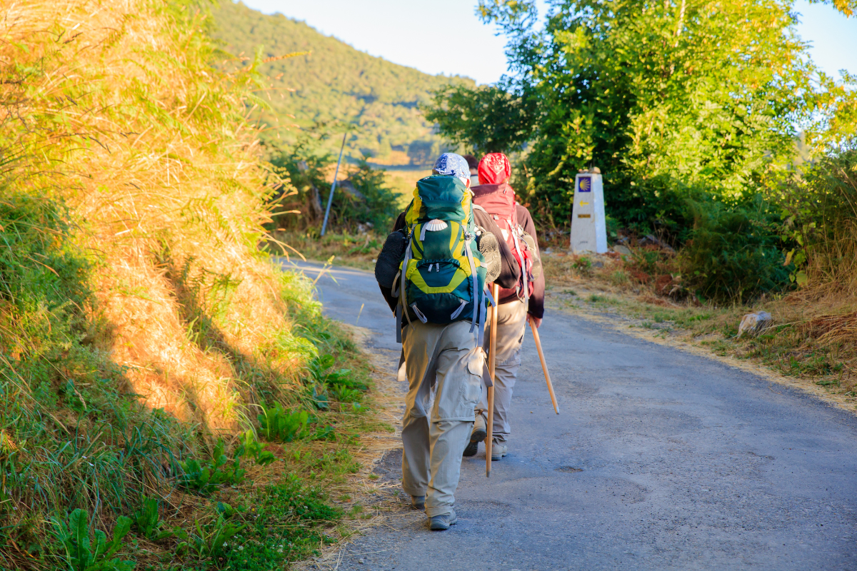 Hikers with backpacks walking up a sunlit mountain road surrounded by green trees and hills