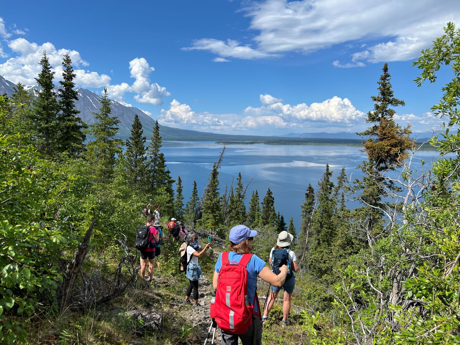 Hikers on a trail overlook a lake, with trees and a bright blue sky with clouds.