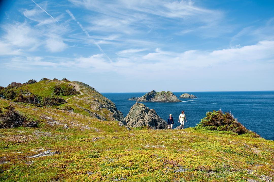 Two people standing on a grassy cliff overlooking a blue ocean and rocky islets under a bright sky