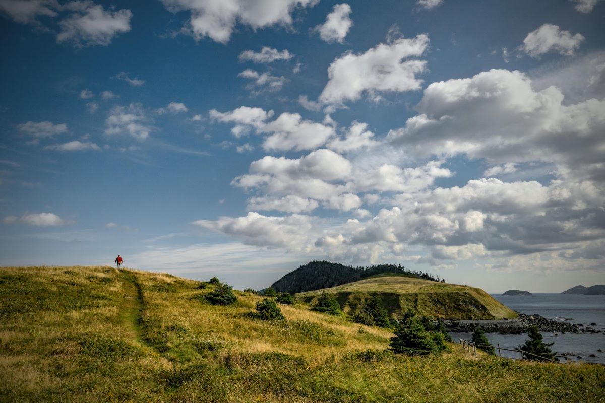 Person walking along a grassy trail on a hill, with ocean views and a cloudy blue sky.