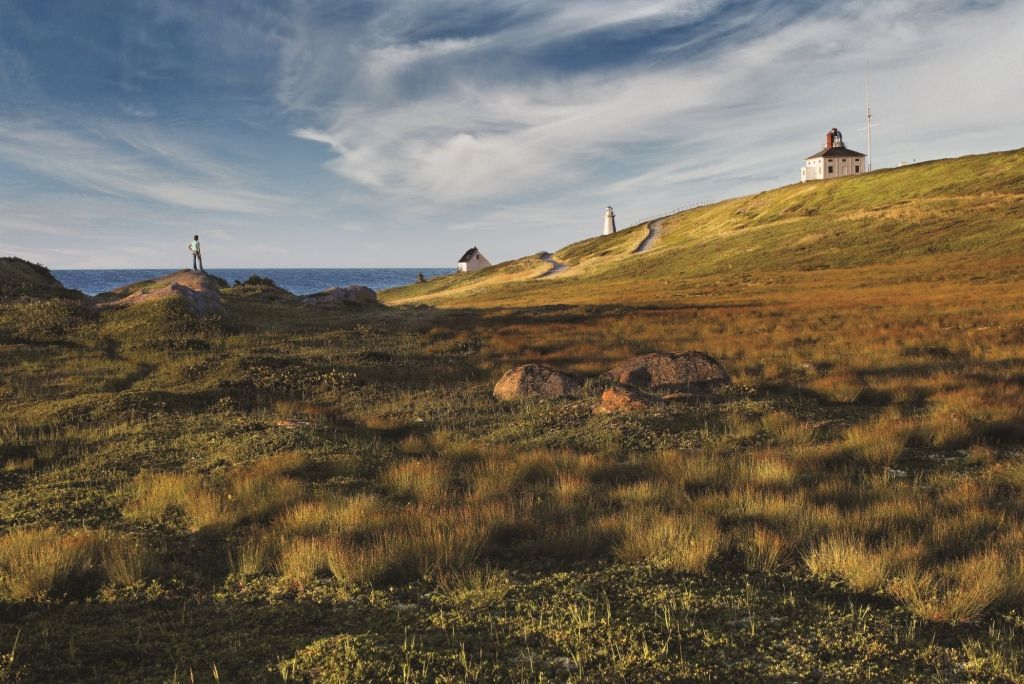 Grassy coastal hillside with two small lighthouses under a cloudy sky