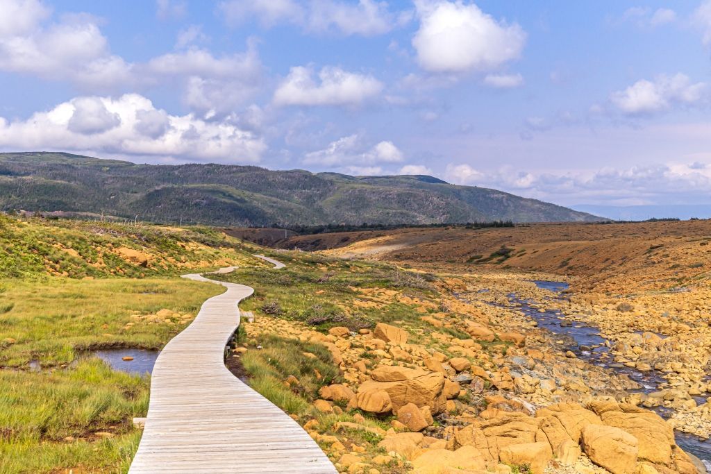 Wooden boardwalk through a golden marsh under a cloudy blue sky, leading toward distant hills