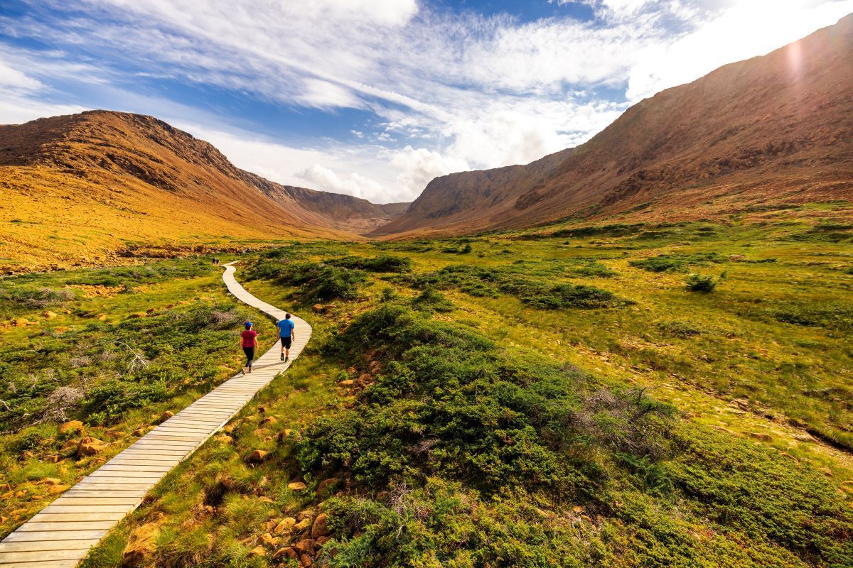 Two people hike a boardwalk through a mountain valley, vibrant green and gold under a blue sky.