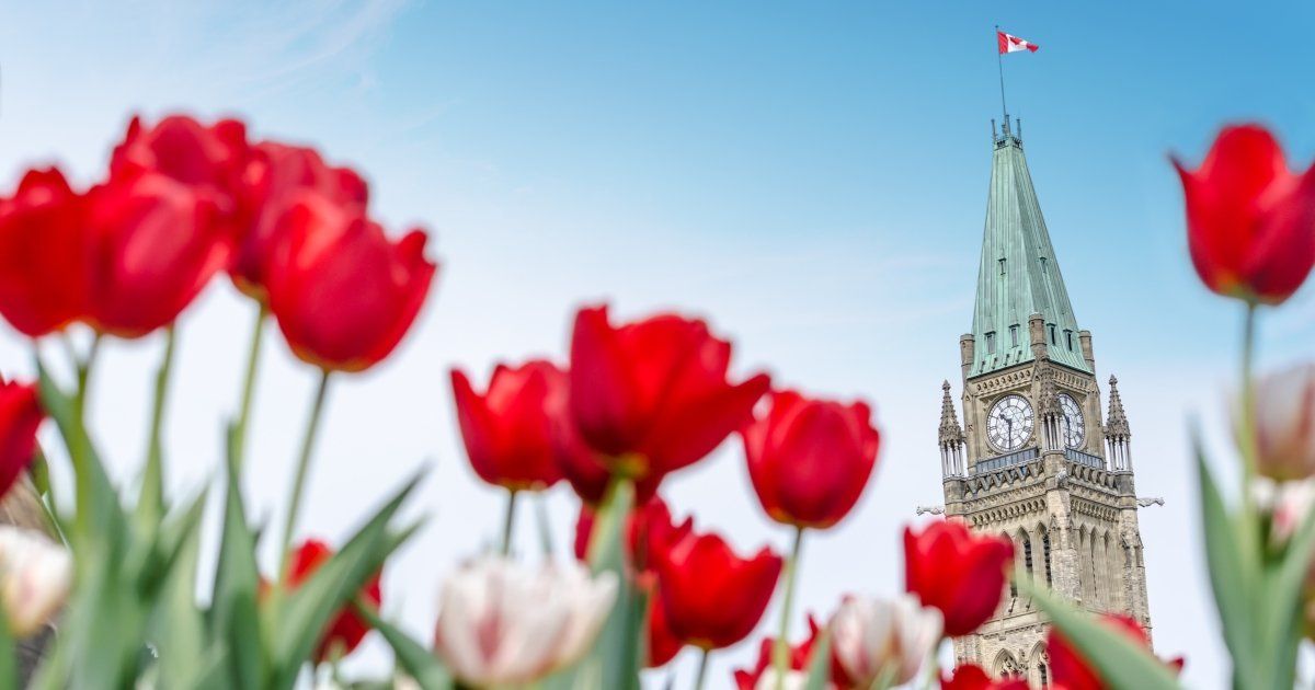 Colorful tulips in bloom with a building in the background under a cloudy sky.