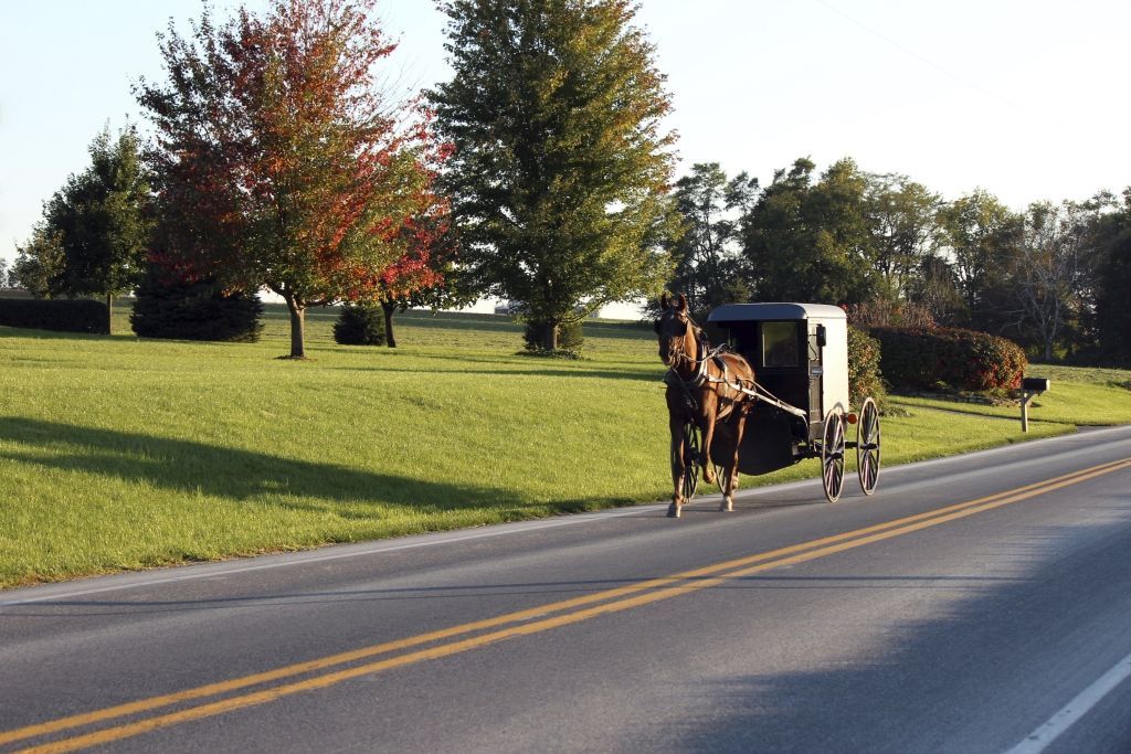 Horse-drawn Amish buggy on a paved road with a grassy field and trees in the background.