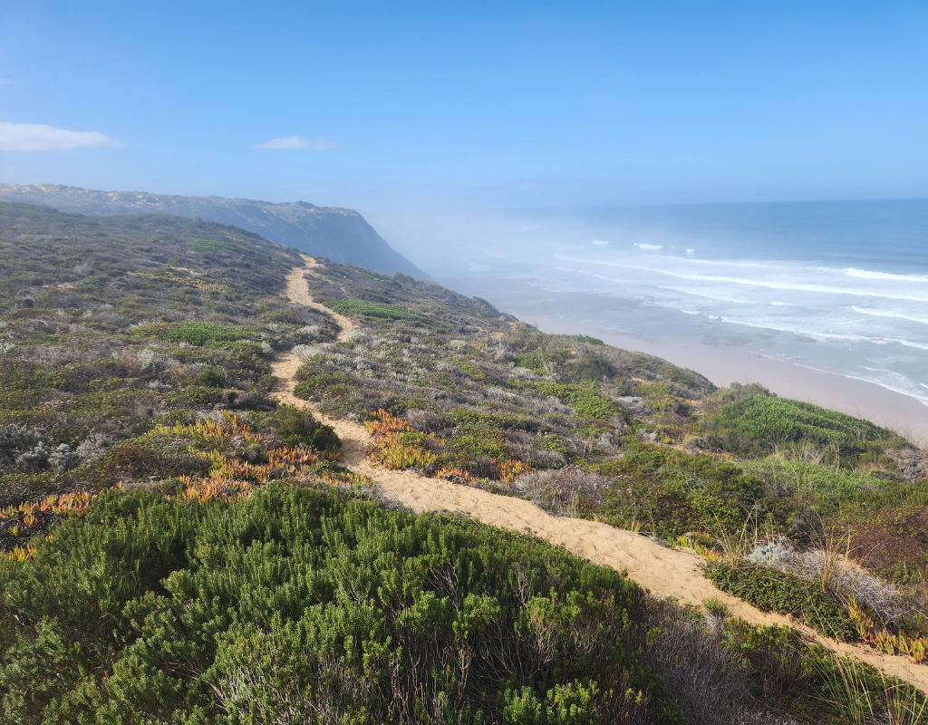 Sandy path winds along a coastal cliff, overlooking the ocean with blue sky, green and orange vegetation.