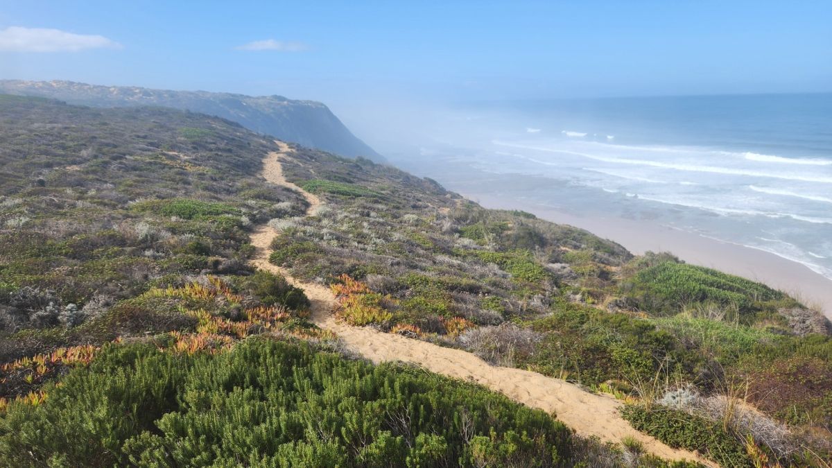 Sandy trail winds along a coastal bluff, overlooking the ocean. Green and brown vegetation borders the path.