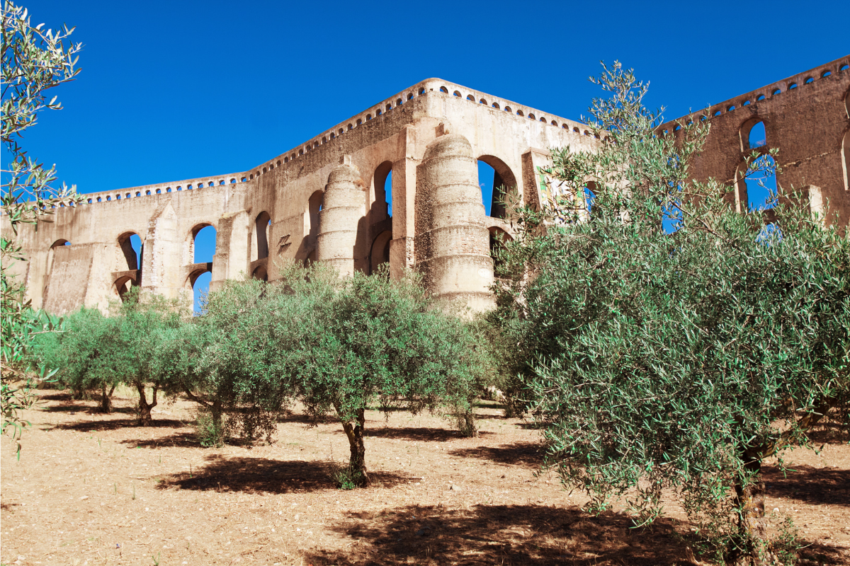 Ruined stone building with arched windows under a clear blue sky, with olive trees in foreground.