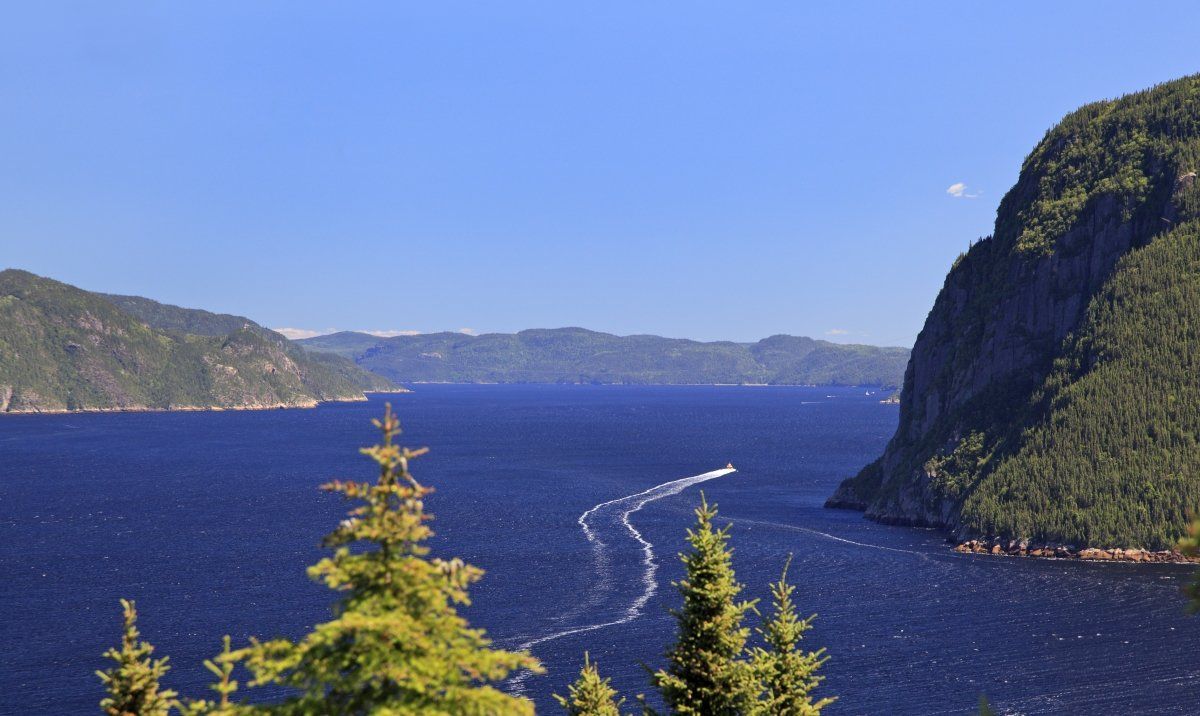 Blue lake between forested cliffs under a clear sky, with evergreens in the foreground