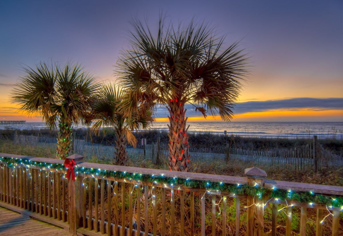Palm trees on a beach boardwalk at sunset, decorated with Christmas lights.