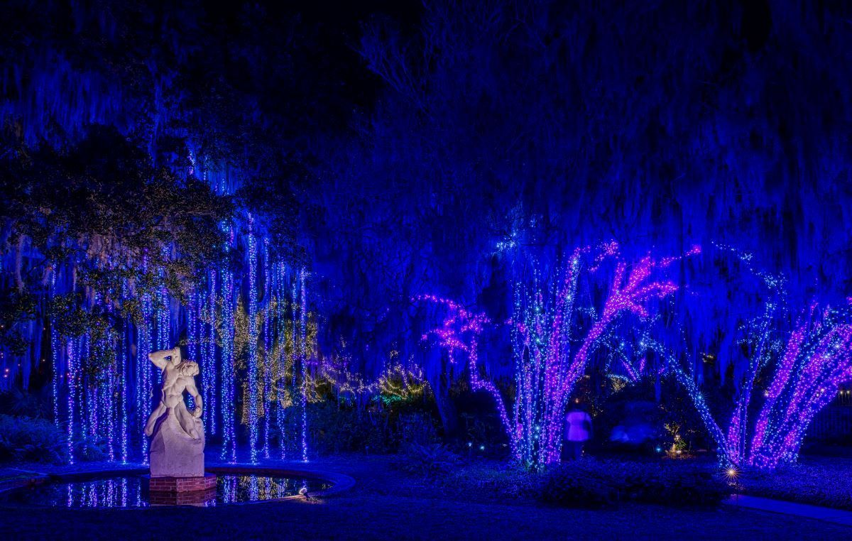 Statue and trees at night, lit with blue and purple lights in a garden.