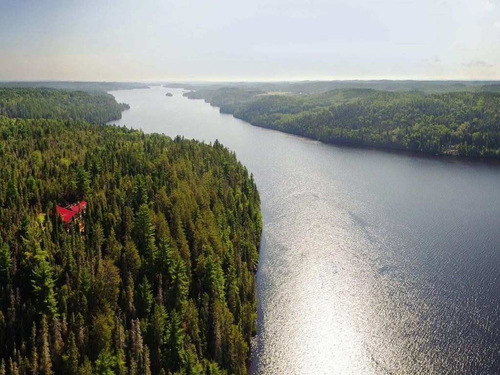 Aerial view of a river winding through a lush green forest, with a red-roofed building visible.