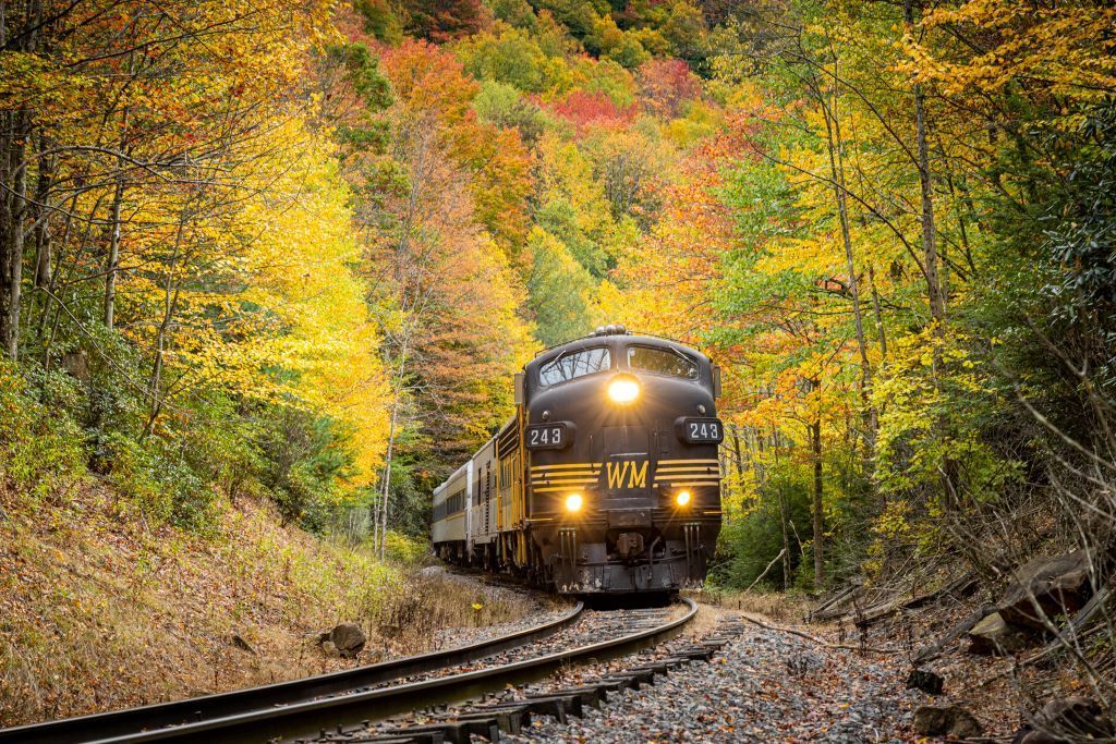 Train travels through autumn foliage, with bright yellow, red, and green leaves.