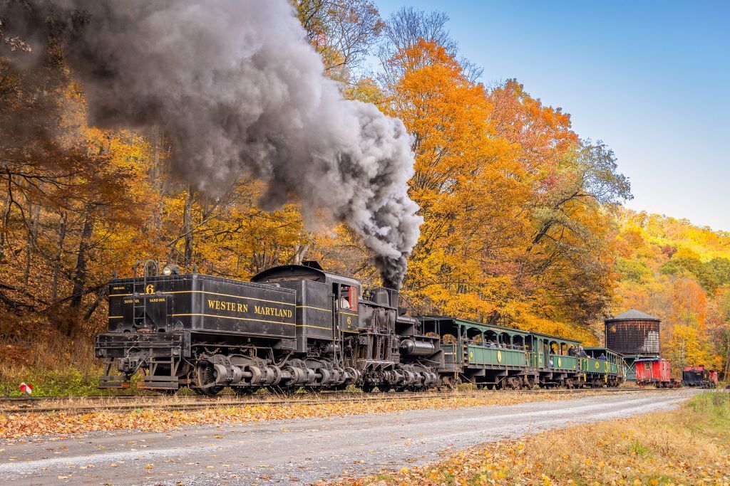 Steam train with black engine puffs smoke as it travels along a road with autumn foliage.