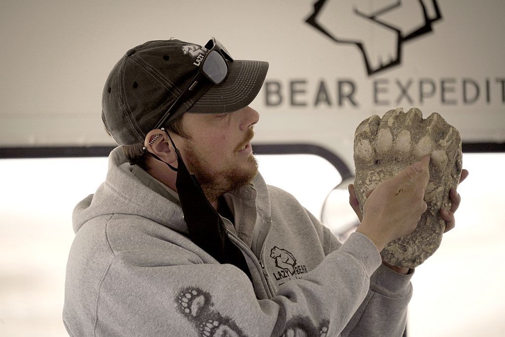 Man in a cap and hoodie examining a large bear paw print cast, with 