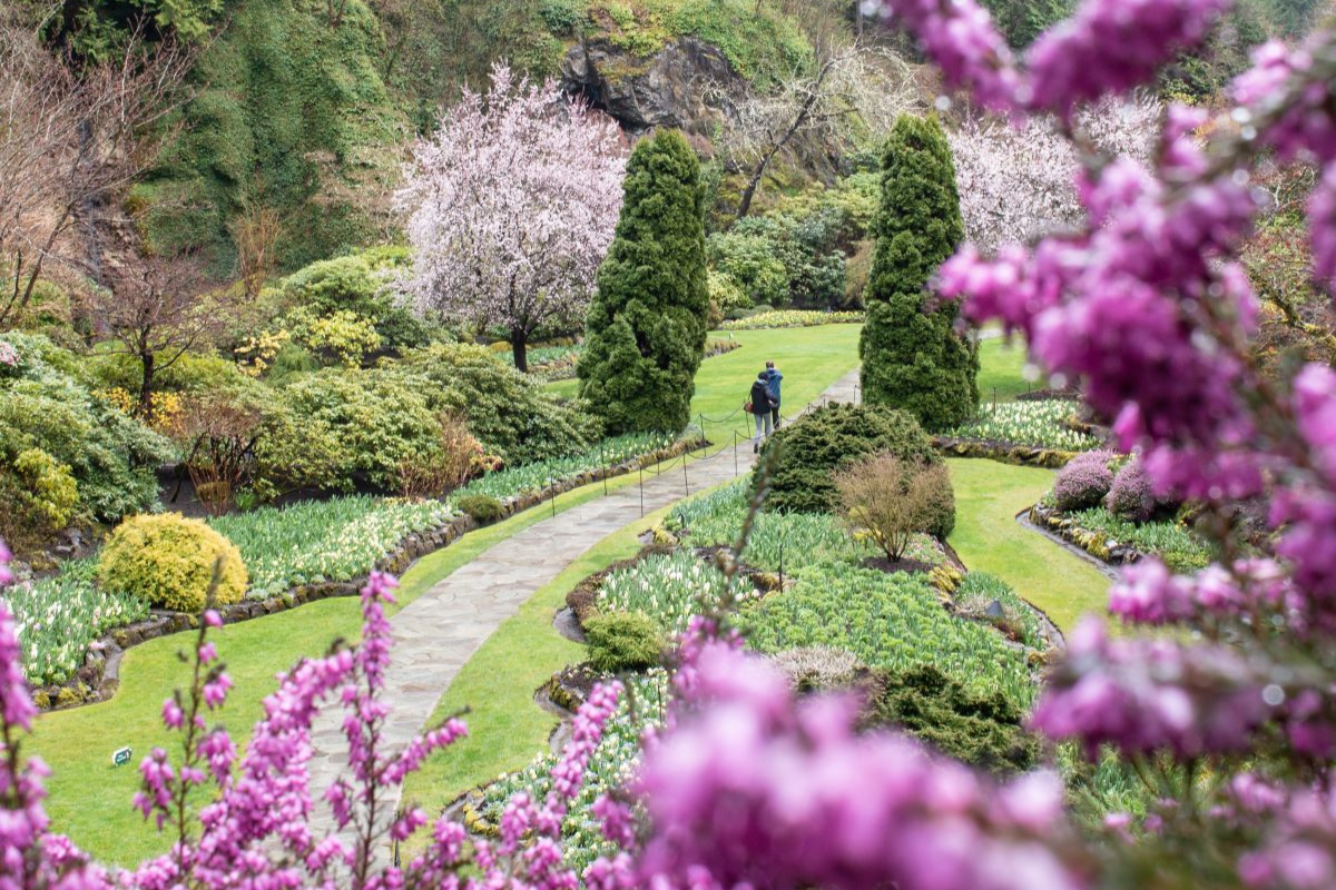 Stone pathway winds through a colorful garden with blooming flowers and trees.