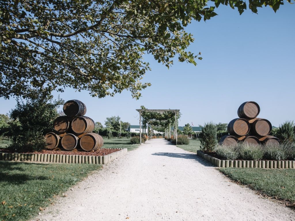 Path through a vineyard, flanked by stacked wine barrels and greenery, under a blue sky.