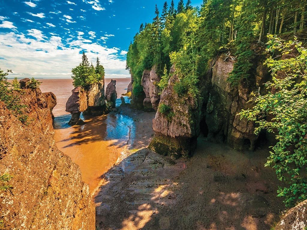 Rocky coastal cliff with green foliage, a narrow beach, and blue ocean under a bright sky