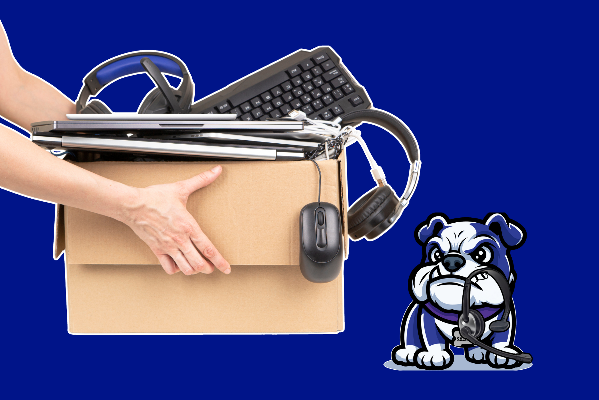Person holding a box of electronics, next to a bulldog mascot on a blue background.