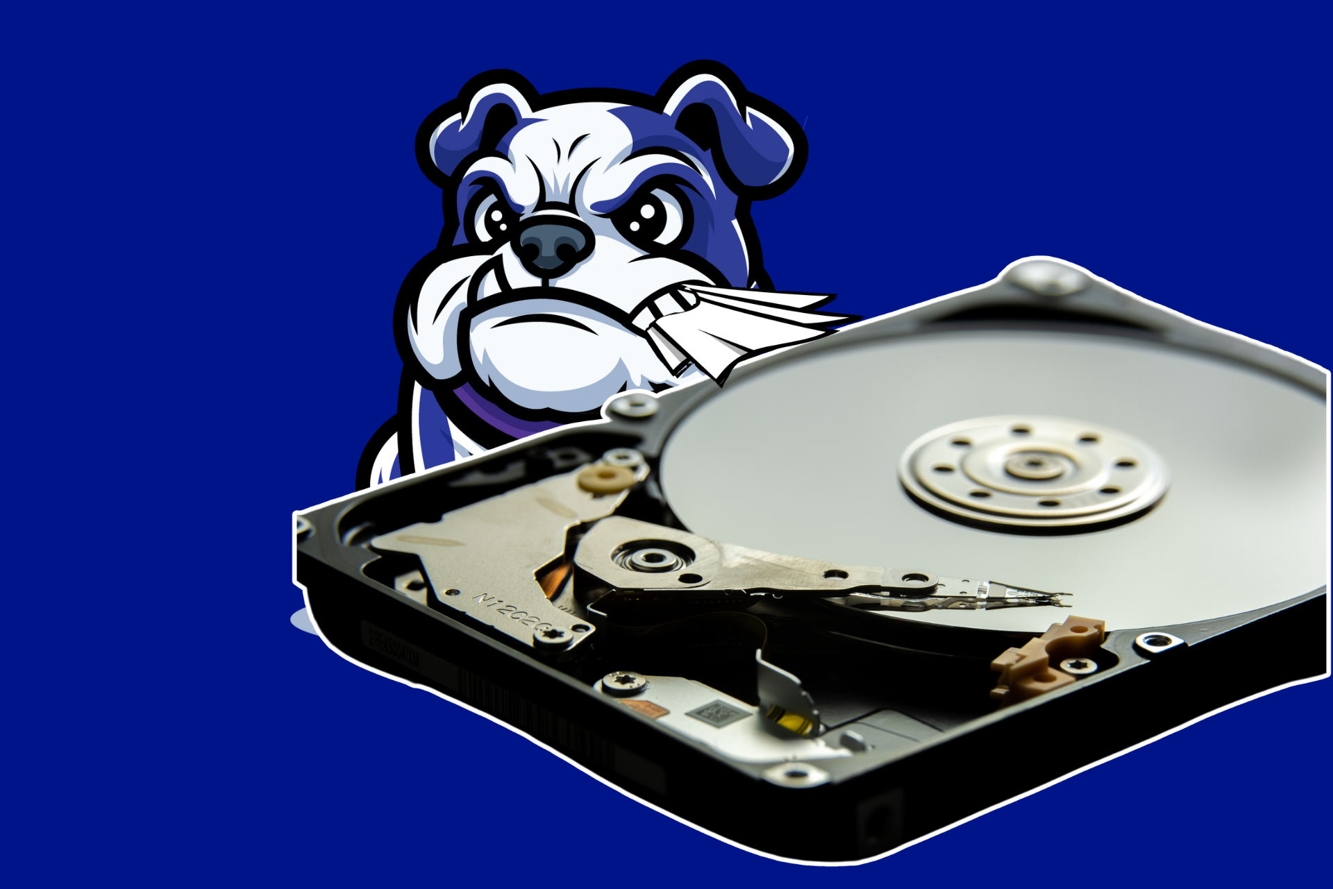Bulldog mascot with a hard drive, biting at the disk, on blue background.