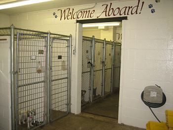 Indoor Boarding Facilities – Stephenville, TX – Ark Veterinary Hospital