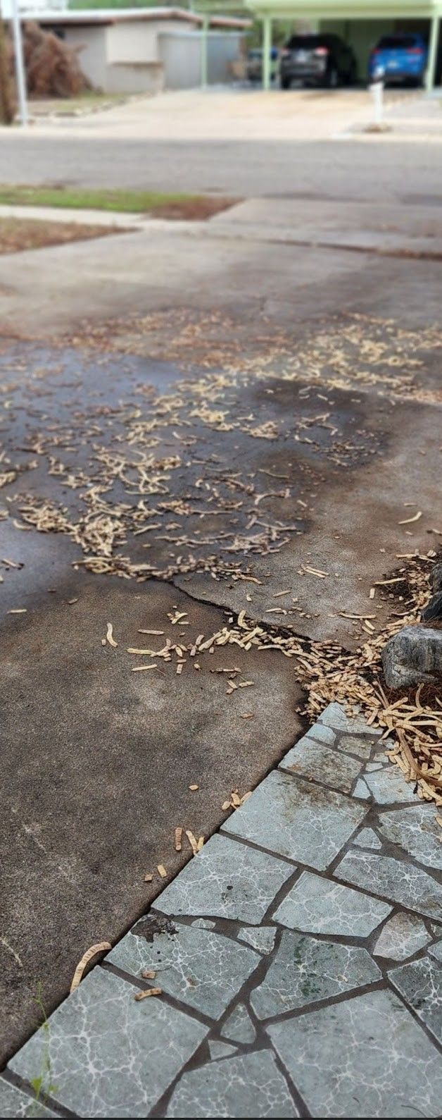 Driveway Cleaning  Before — Tucson, AZ — MJ's Pressure Washing
