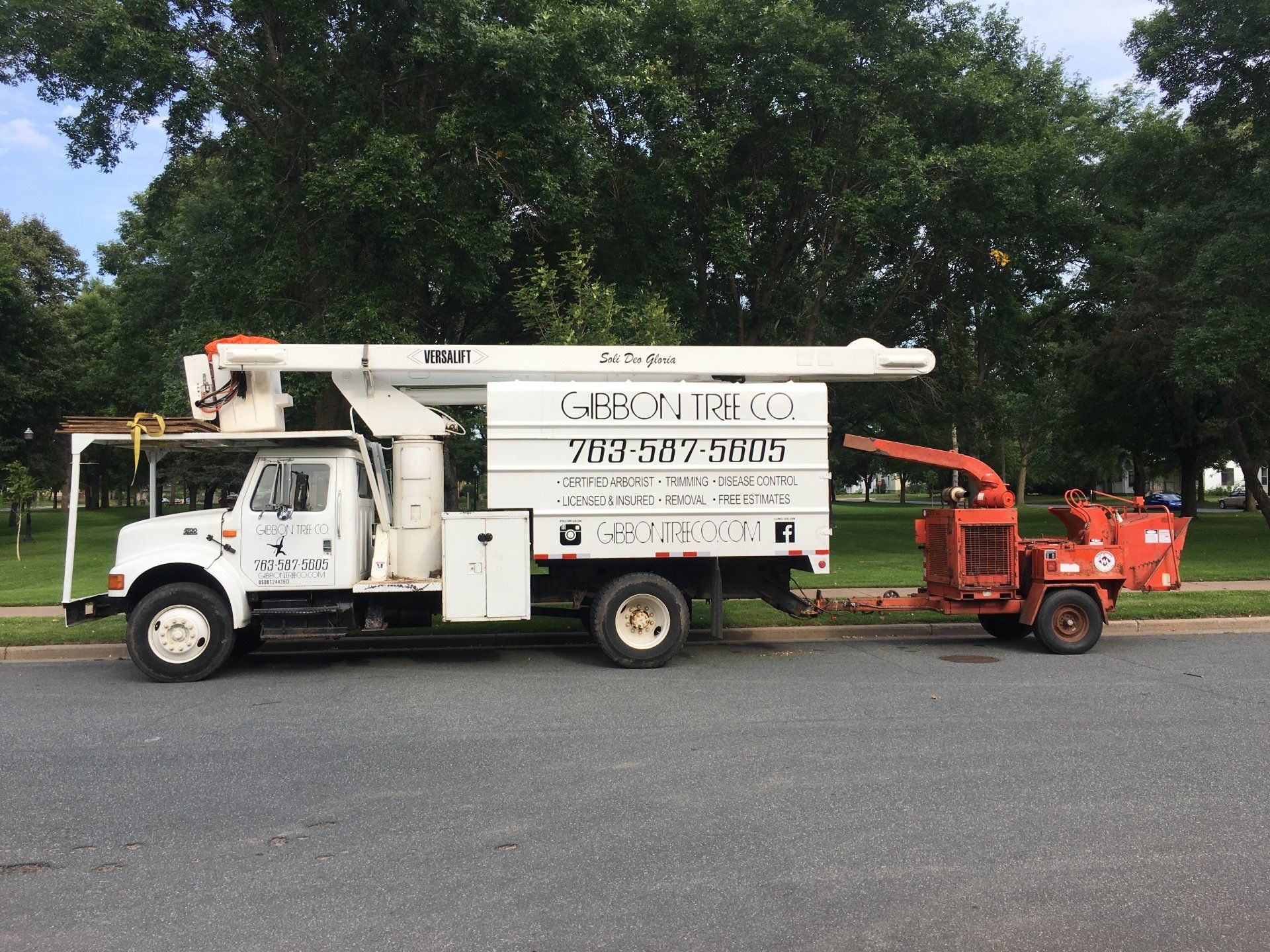 Professional tree service work by Gibbon Tree Co.