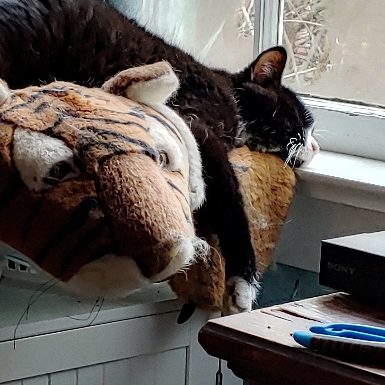 Two cats are sleeping next to a stuffed tiger on a window sill.