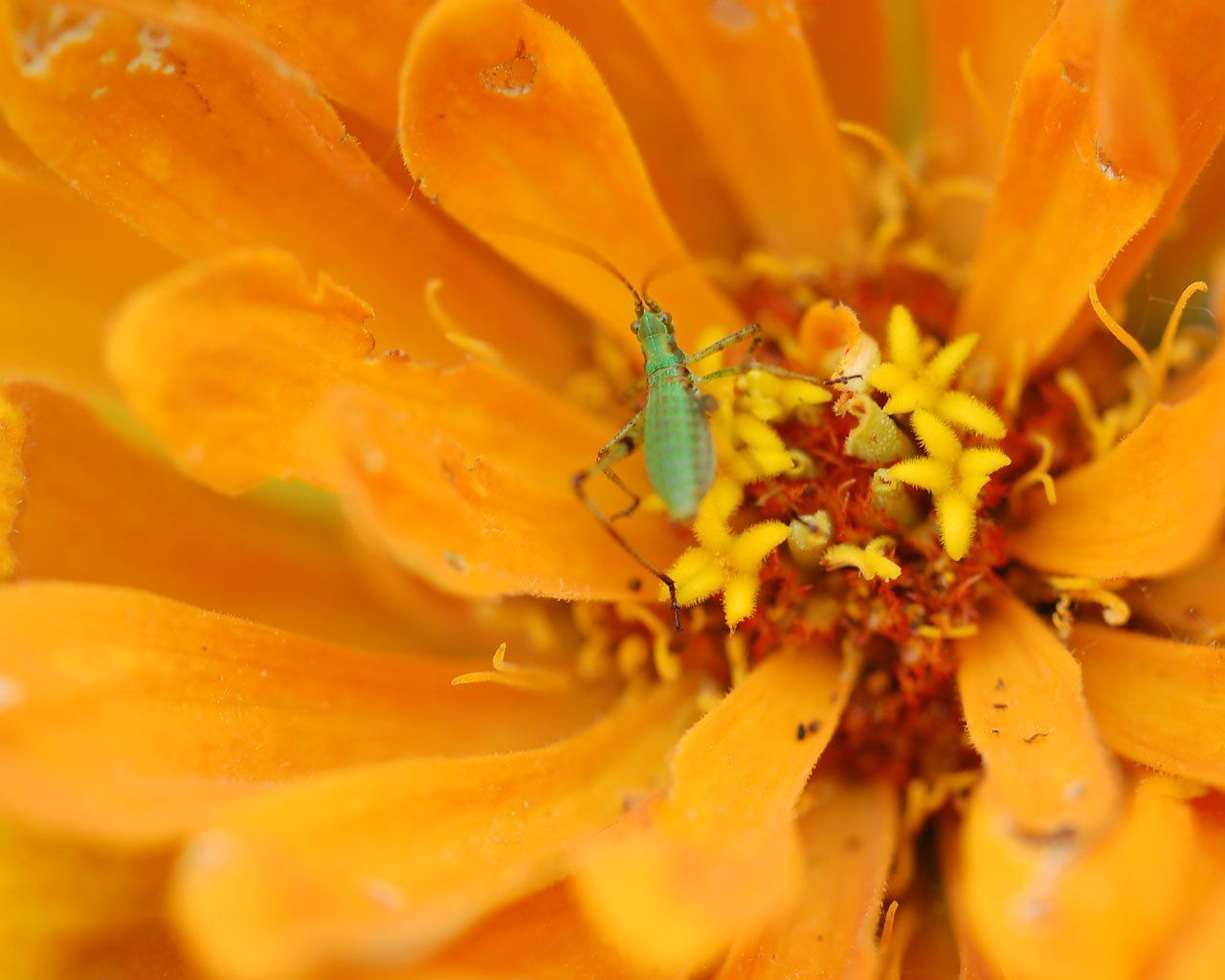 Art Photography — Williamson, NY — Paleopix Art Photography — Williamson, NY — Paleopix