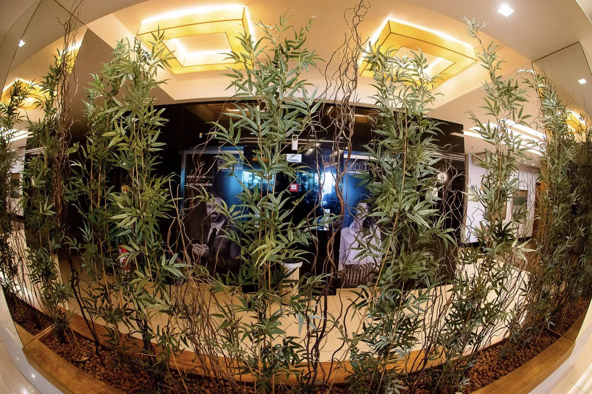 Átrio interno com exuberantes plantas em vasos e luzes de teto aconchegantes emoldurando uma entrada central escura.