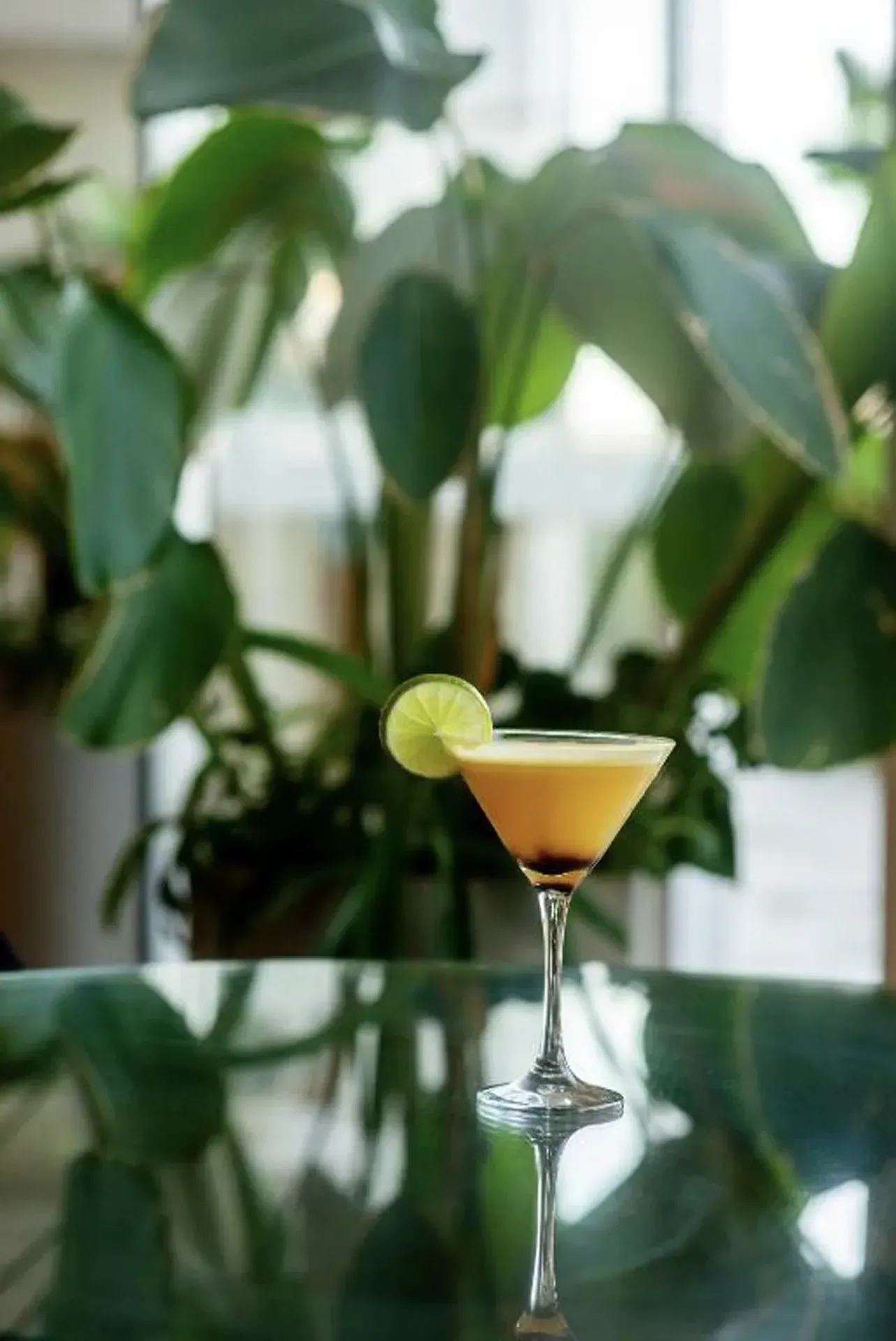Coquetel em taça de martini com rodela de limão sobre uma mesa refletora, em meio a plantas verdejantes.