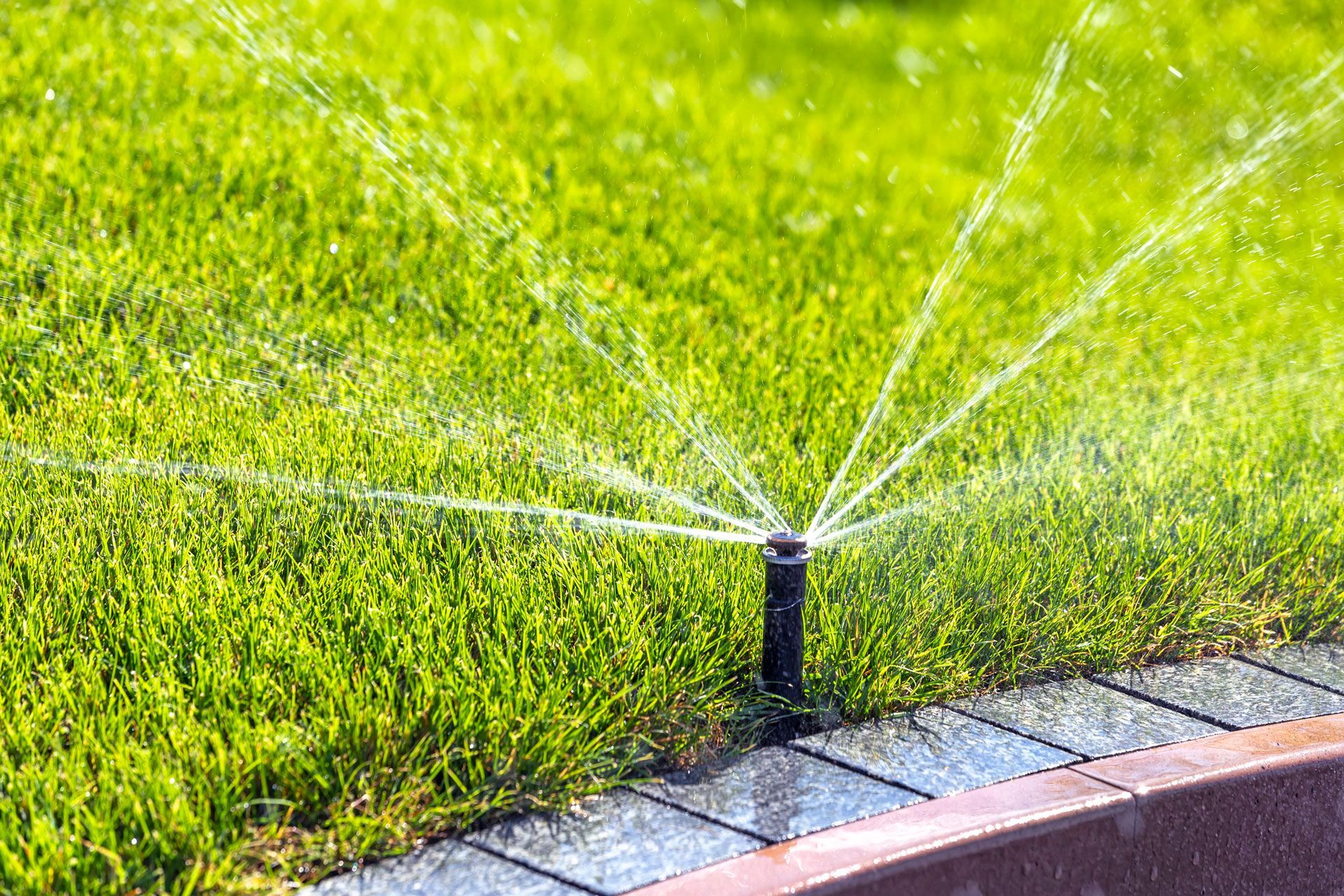 Sprinkler watering a green lawn beside a pebble landscape bed.