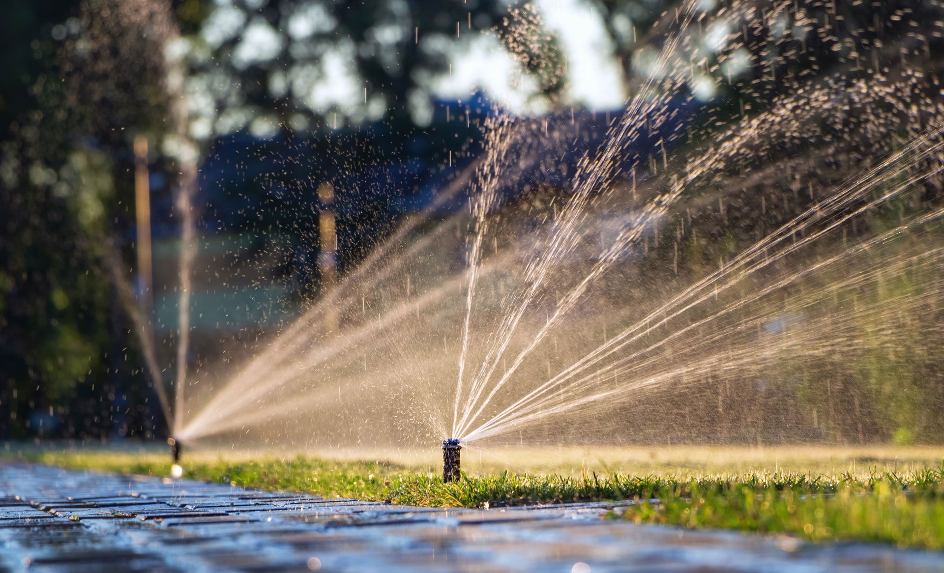 Sprinklers spraying water over a sunlit green lawn in a park or garden