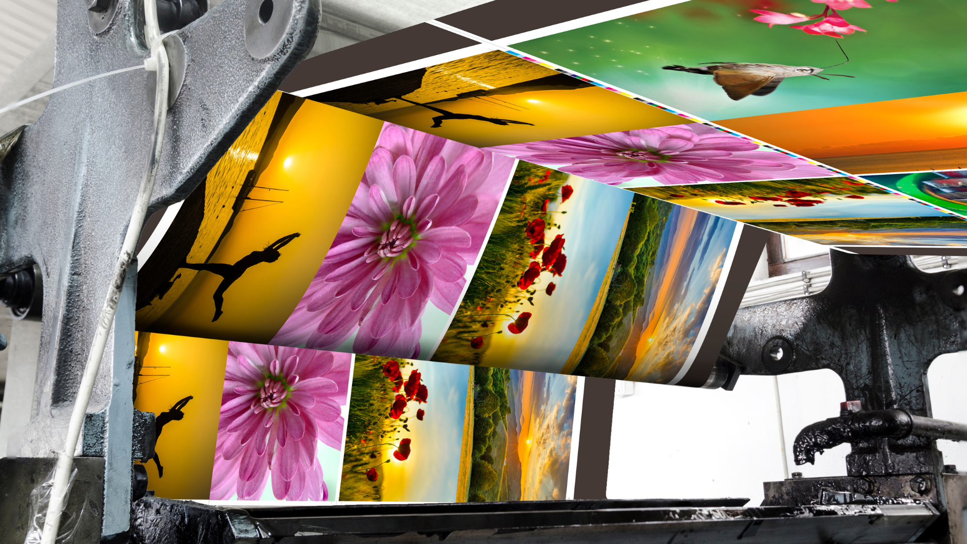 A bunch of pictures are being printed on a machine