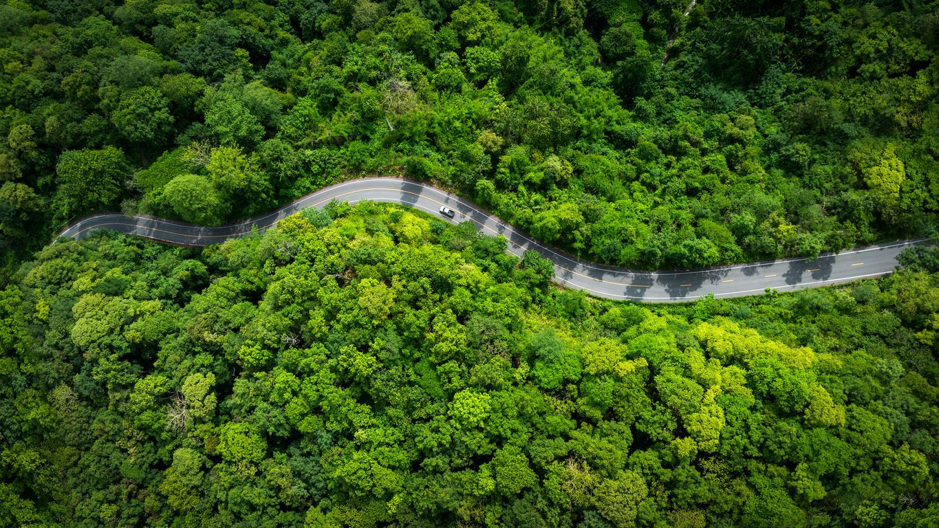 A winding road cuts through dense green forest from an aerial view.
