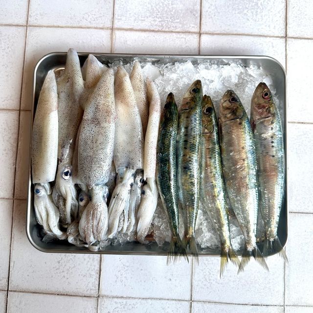 fresh catch