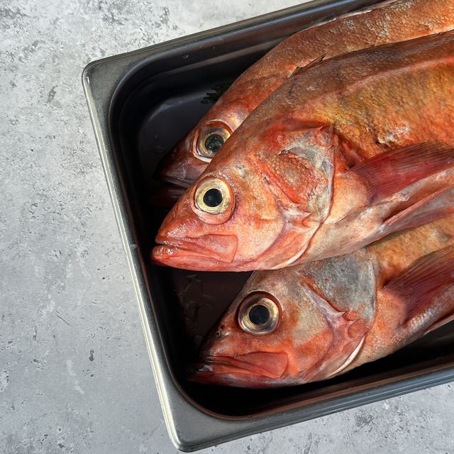 fresh fish