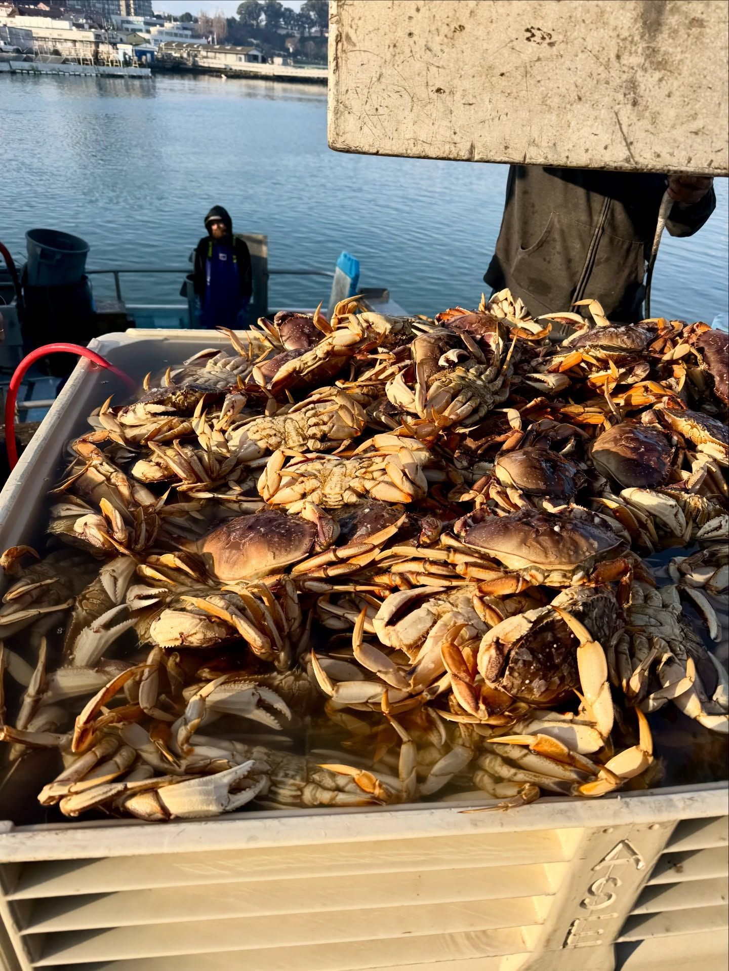 sustainable fisheries