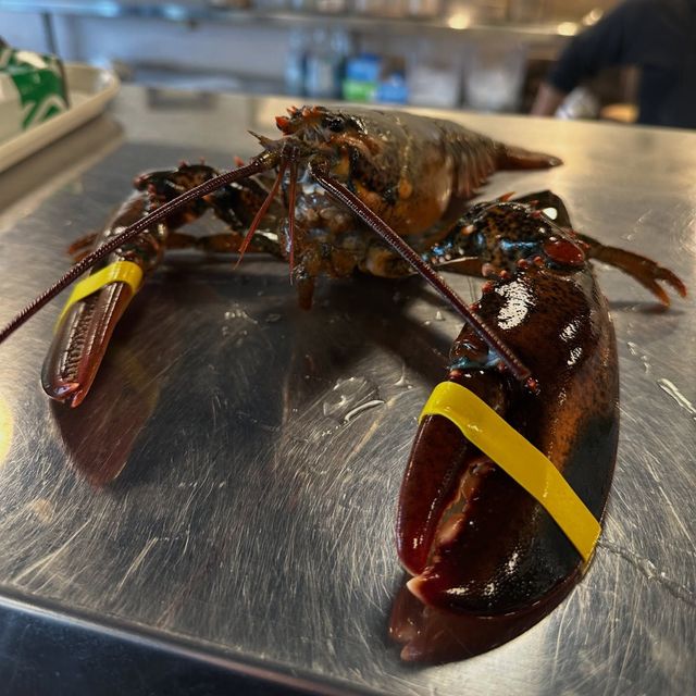 lobster