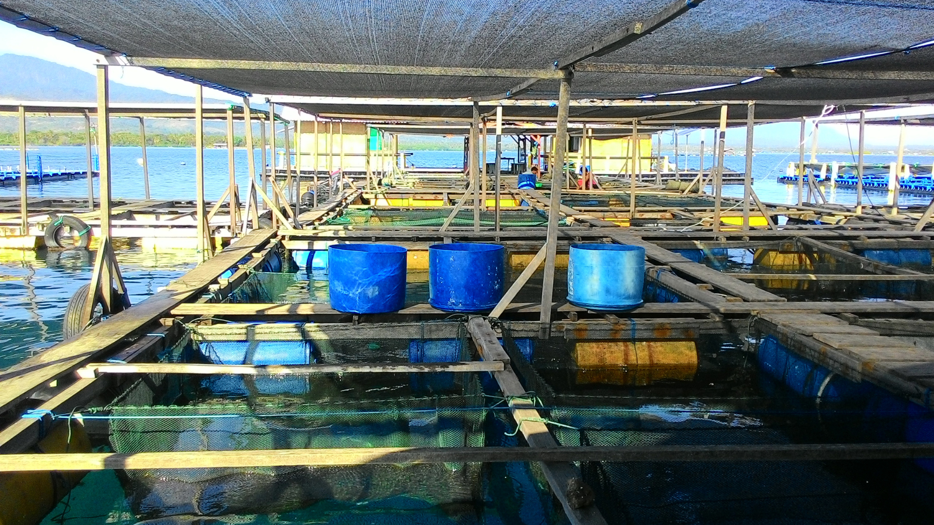 fish farm