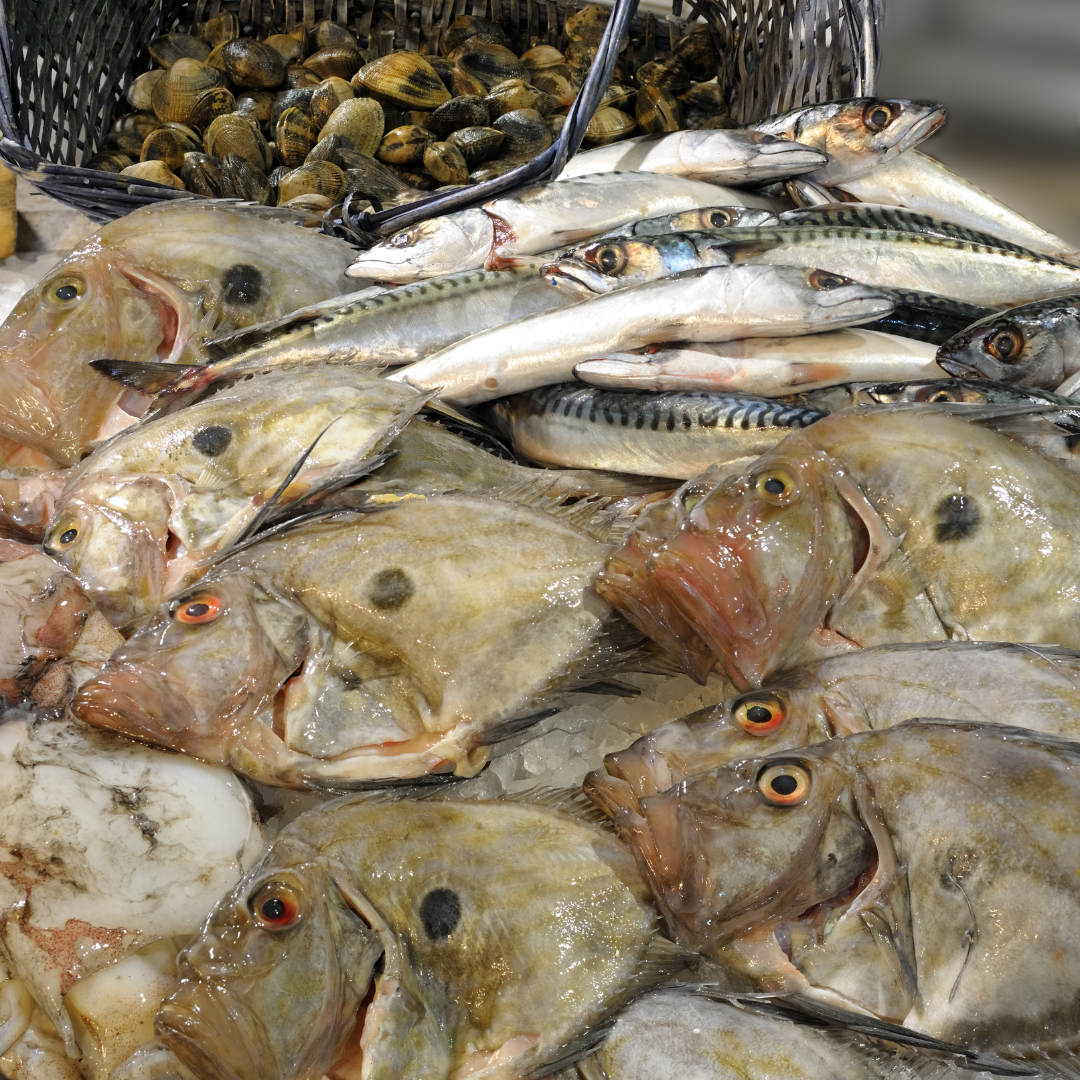 john dory