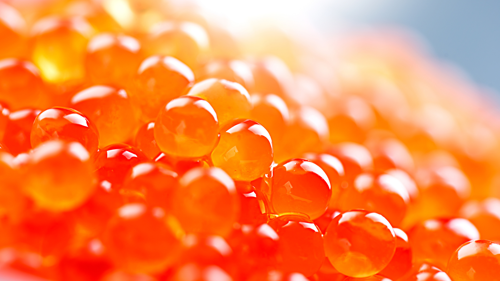 trout roe