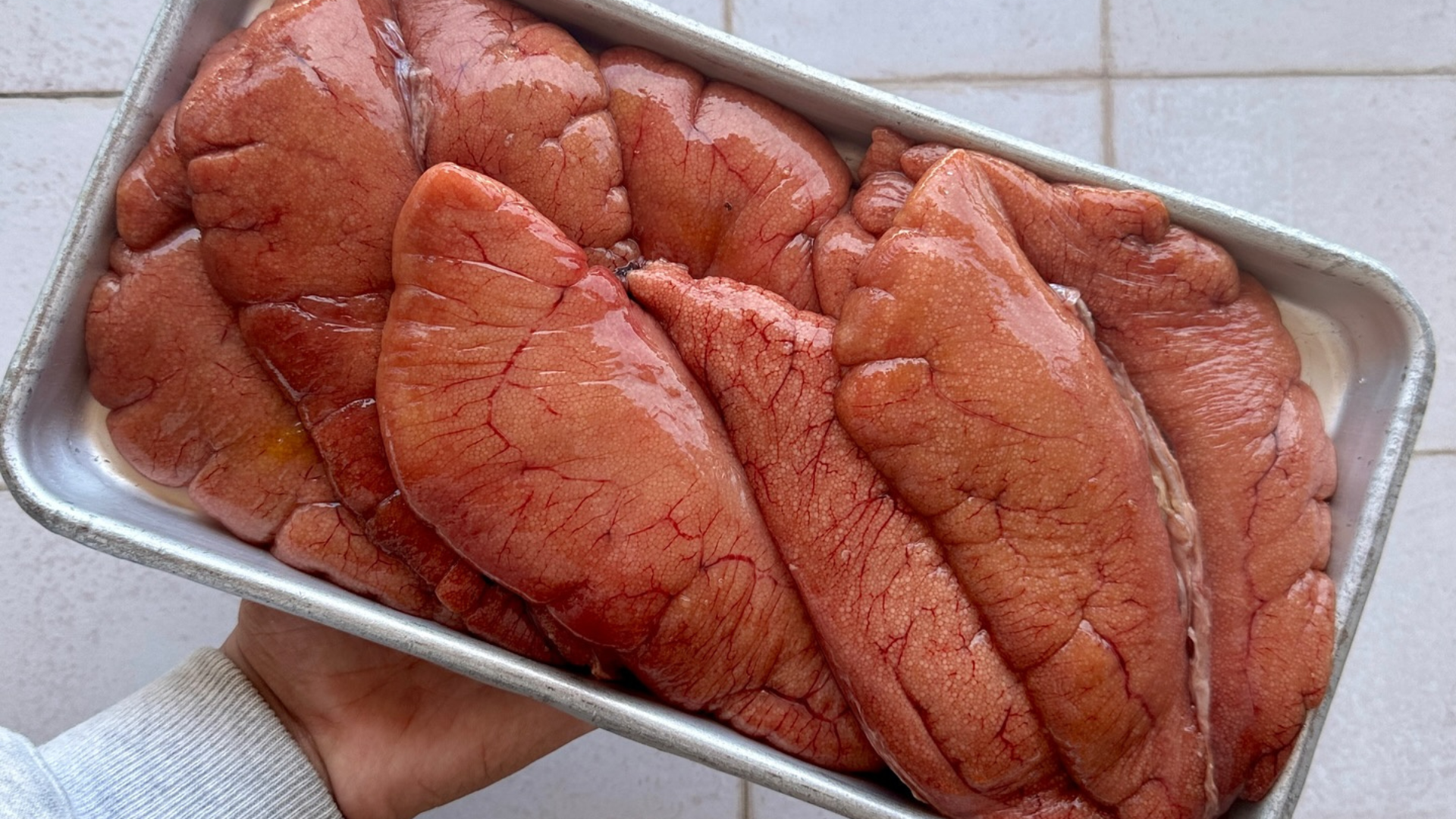 shad roe
