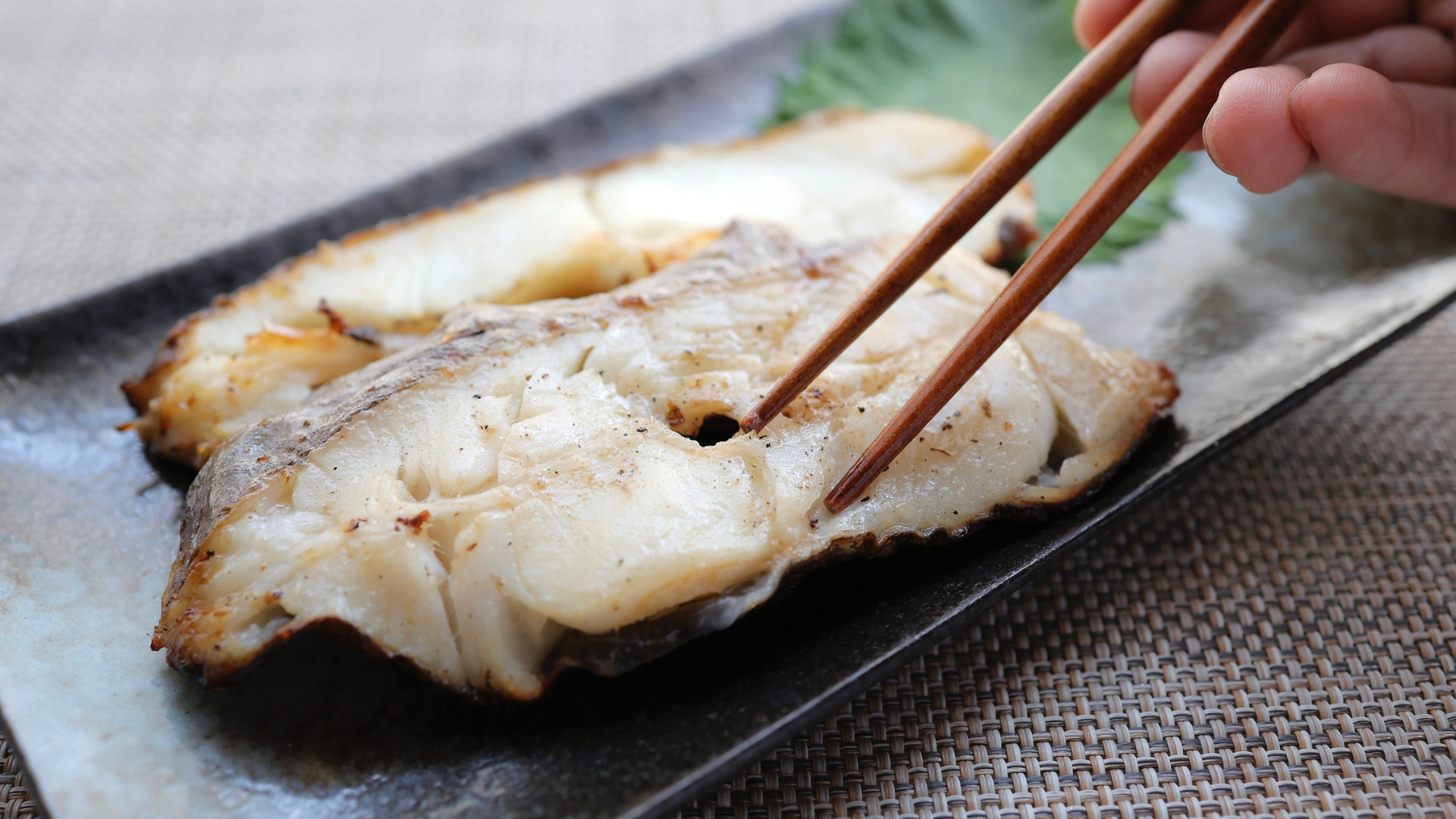 yellowtail flounder
