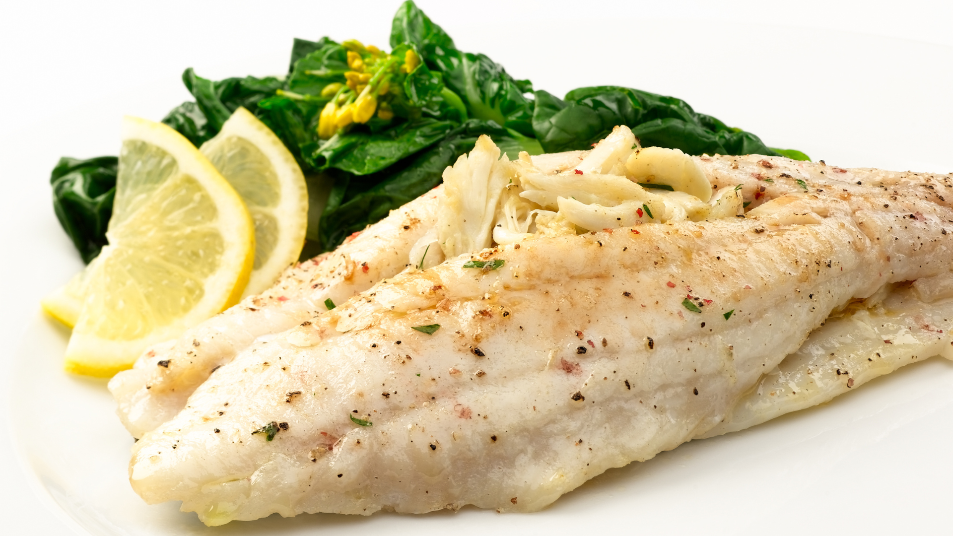 flounder